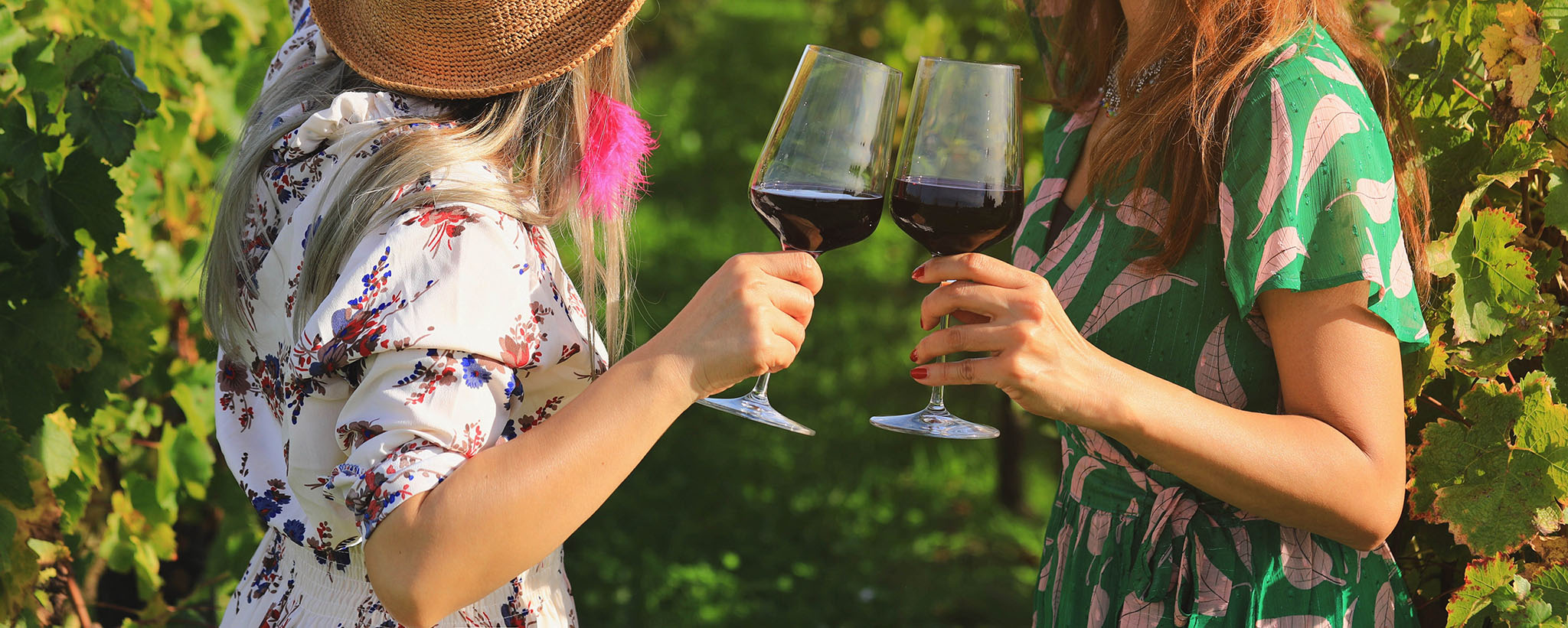 Close up on women hands holding red wine glasses at vineyard